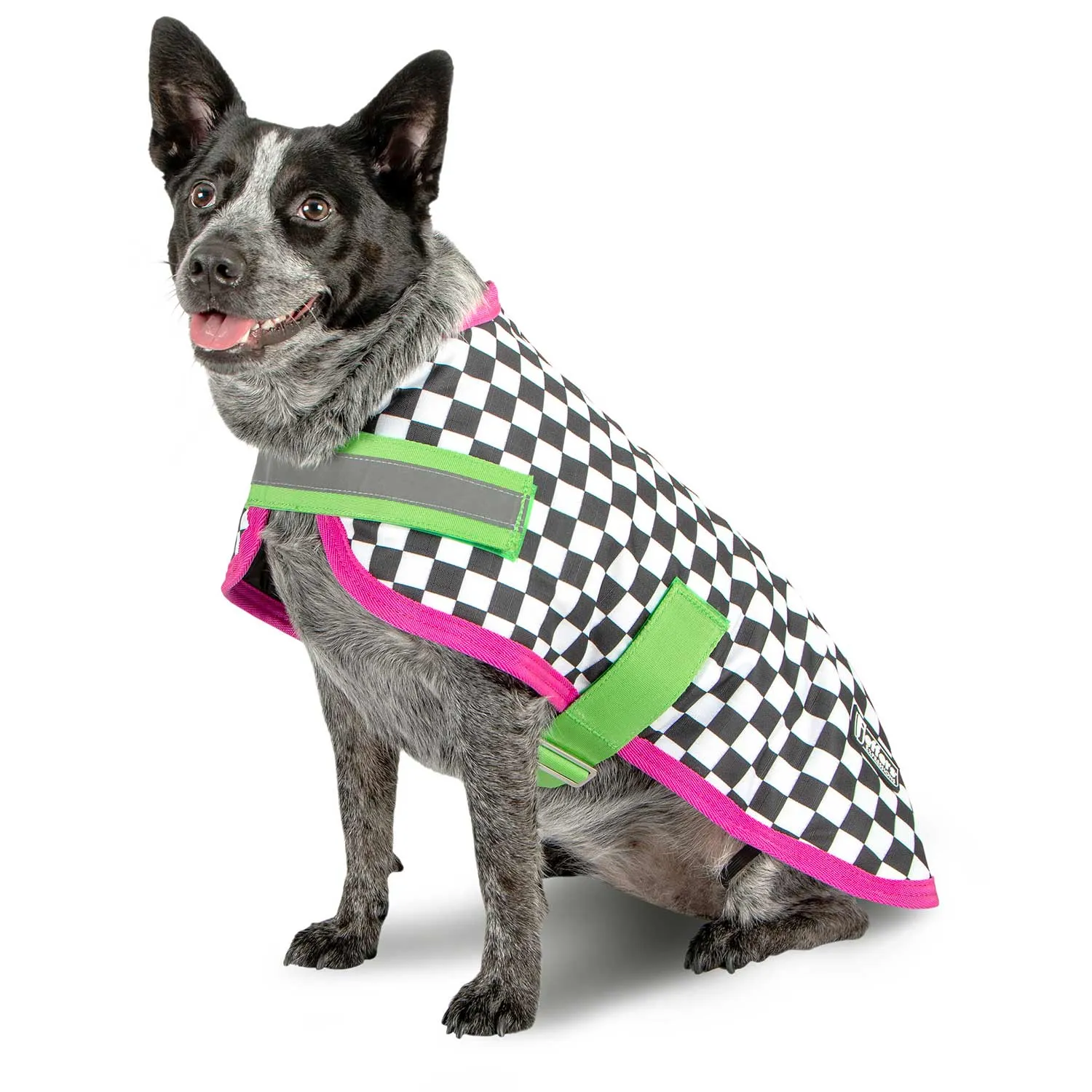 Jeffers Expression Waterproof Ripstop Dog Coat, Skater Pup