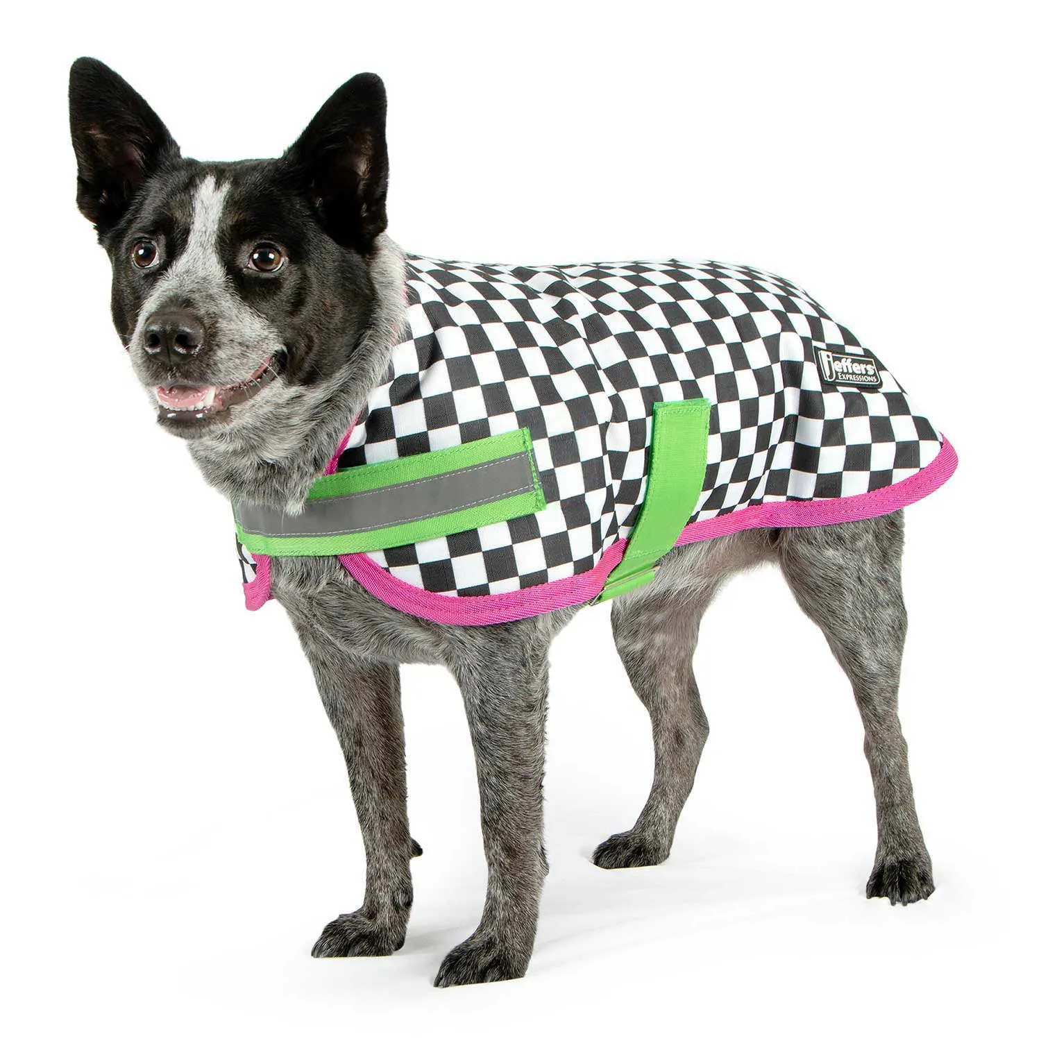 Jeffers Expression Waterproof Ripstop Dog Coat, Skater Pup