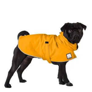 Pug Raincoat